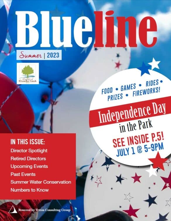 Newsletter-Summer-2023