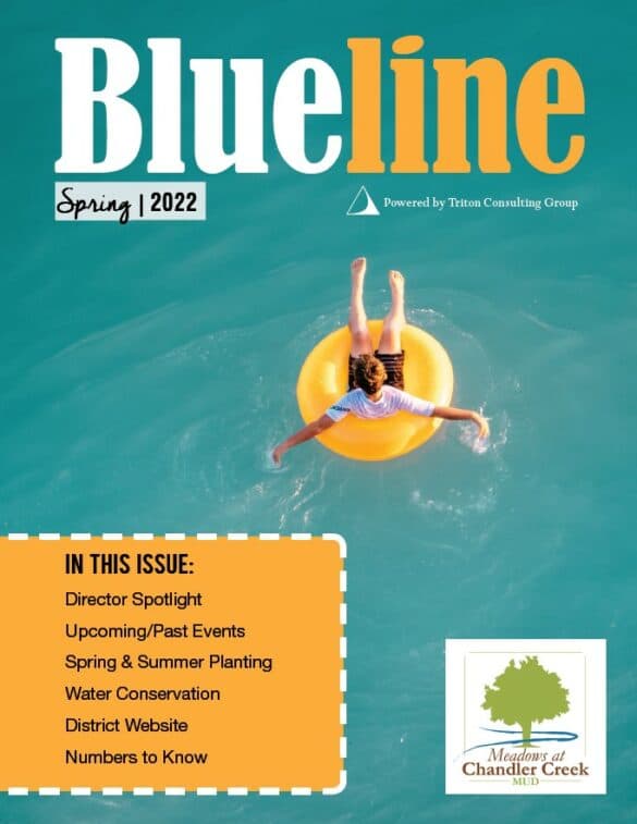 Newsletter spring 2022